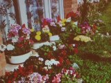 Remise des prix au concours des maisons fleuries 2011