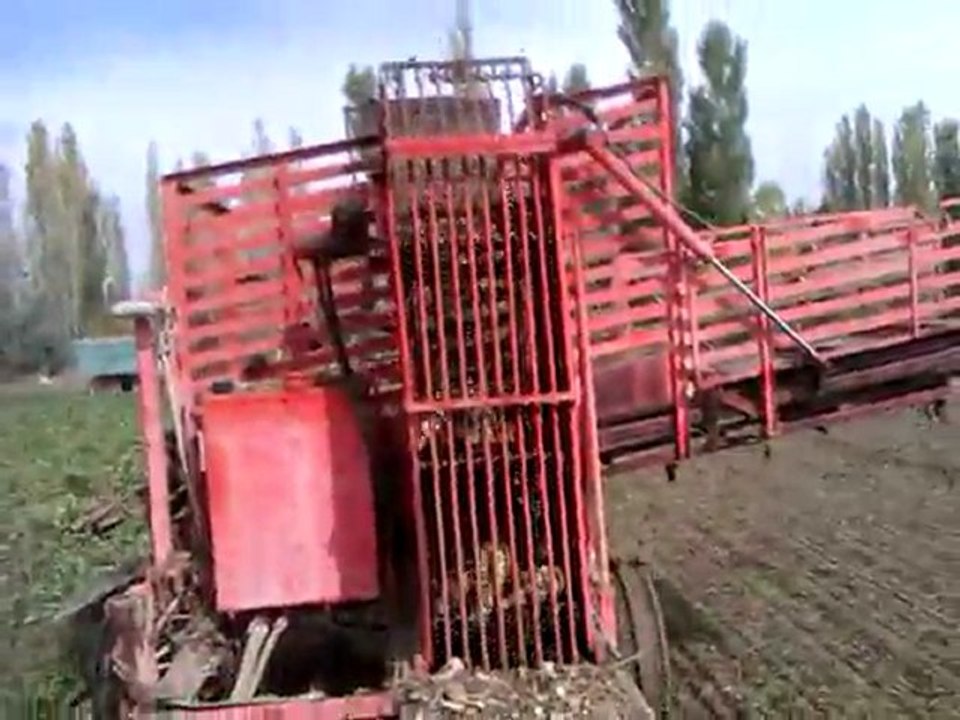 VIDEO0011