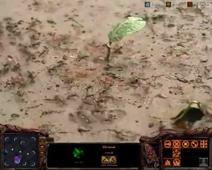 Starcraft 2 : Le ZvZ typique