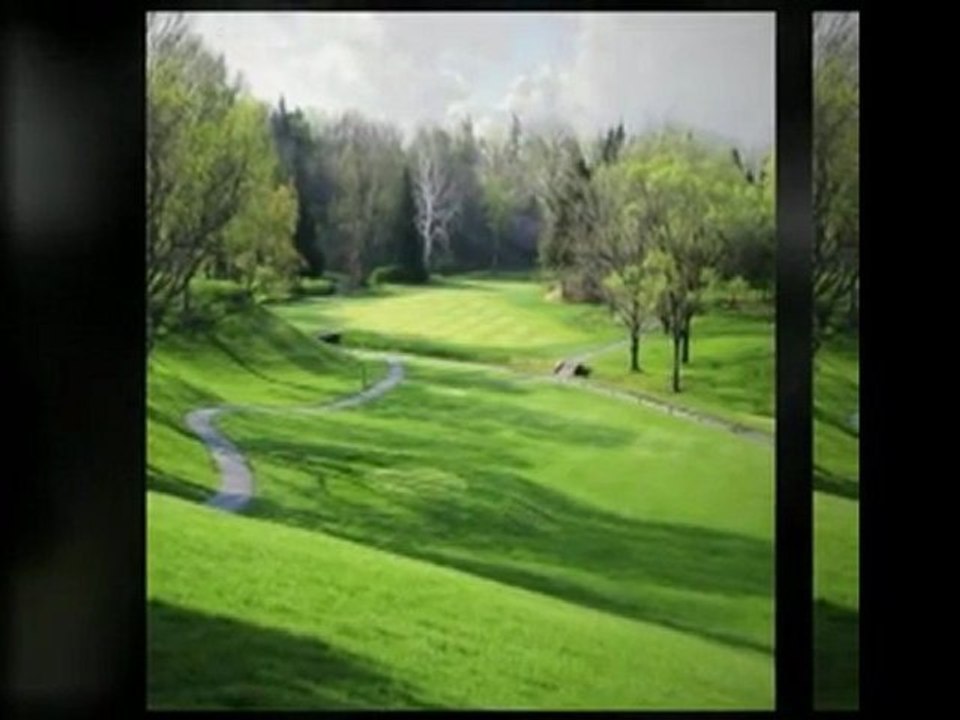 Golf Pitching Technique - Tips to Boost Golf Pitch Pictures for Novices