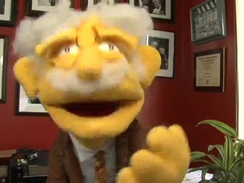 Professor Puppet Realty Trust Property Management Endorsement