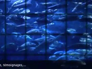 soirée de lancement Tamata Editions