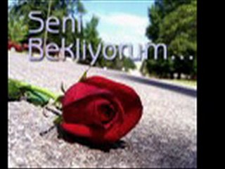 slower ösqurr(SENI SEWDIMM)