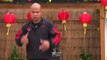 Master Wong Wing Chun - Mini Course - 9 Lessons