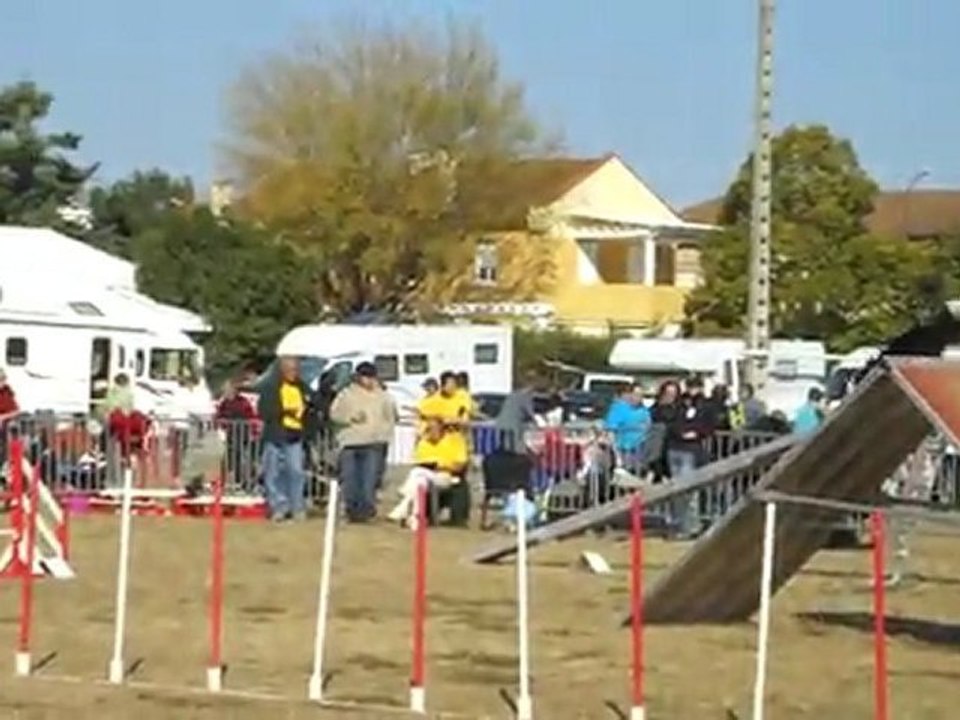 Elis-Degre-IPAC-231011