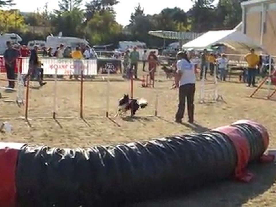 Elis-Jumping-IPAC-231011