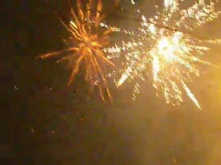 Delhi sous les bombes 8