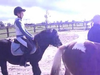 Promenad avec Spirit 5 mois!