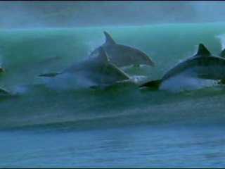 KIOZA ma planète bleue