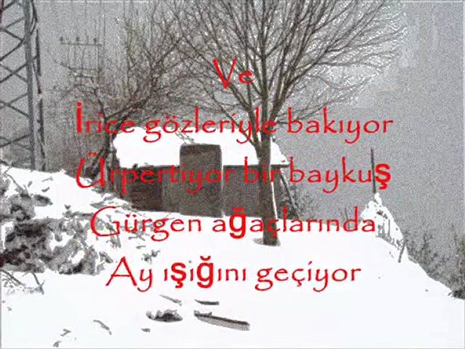 AyIşığı