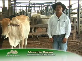 3_JUEVES 27 OCTUBRE 2011 el retorno guaviare 2