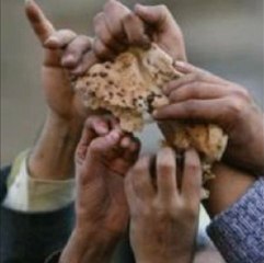 BİTLİSLİ BABA *** DELİ KIZIN ÜLKESİ