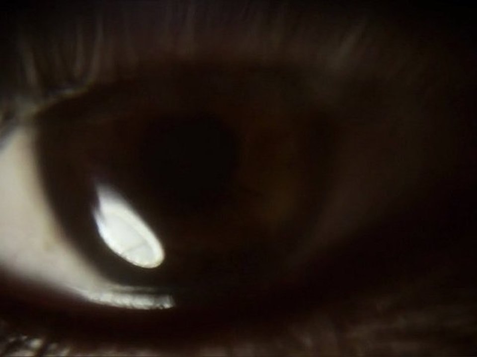 A TOUT PRIX - TEASER