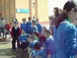 Orman Ne Güzel_ikizpınar ioo