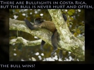 HOMES FOR SALE COSTA RICA BEACH