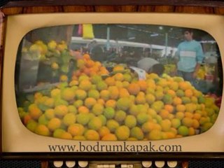 Bodrum Kapak İntro