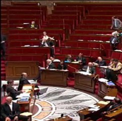Le secteur optionnel à l'assemblée nationale