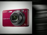 Sony Cybershot DSCW170 B 10.1MP Digital Camera with 5x ...