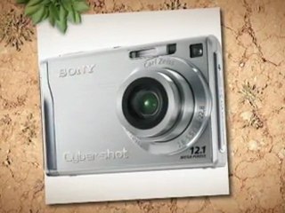 Sony Cybershot DSCW200 12.1MP Digital Camera with 3x ...