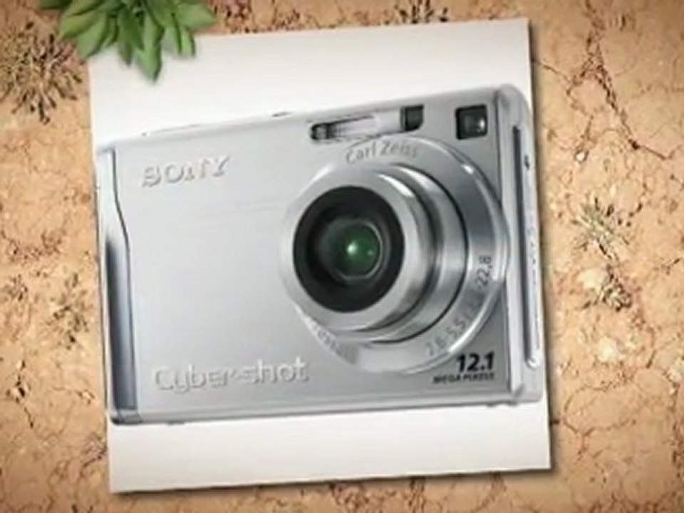 Sony Cybershot DSCW200 12.1MP Digital Camera with 3x ...