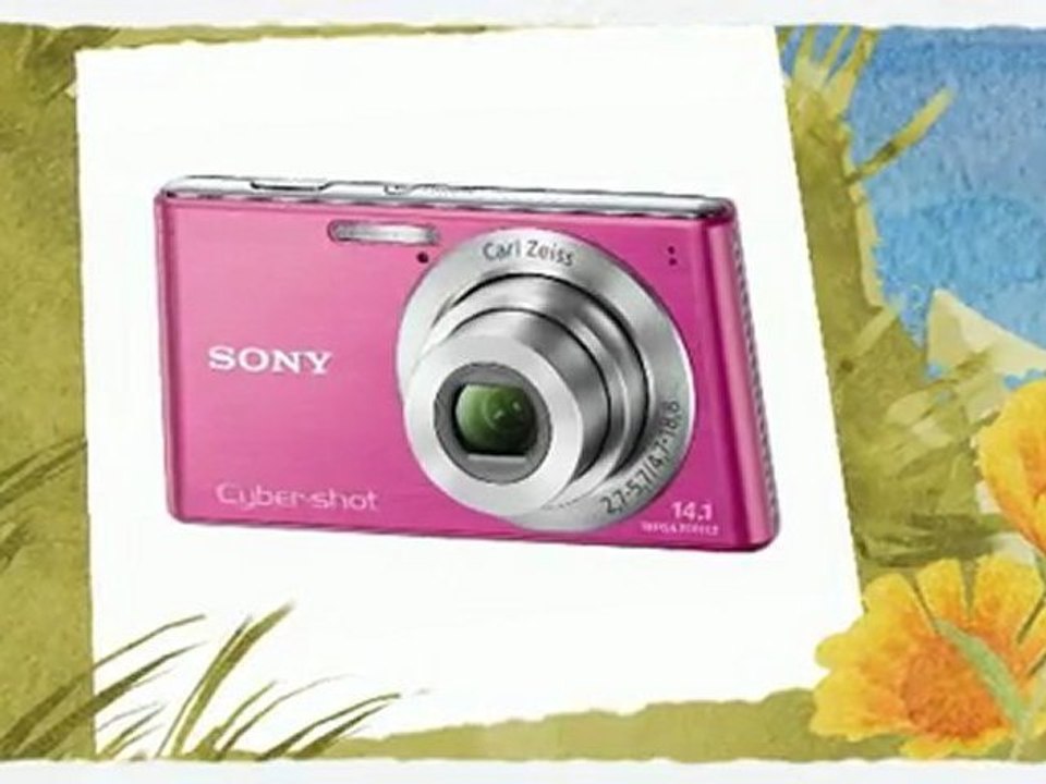 Sony Cyber-Shot DSC-W530 14.1 MP Digital Still Camera ...
