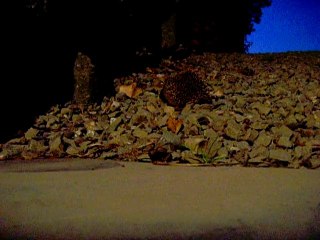 Gérald Dederen Carnet de voyage Les Avins