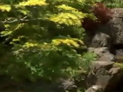 Grup Gezgin - Hele Hele Yar Yar