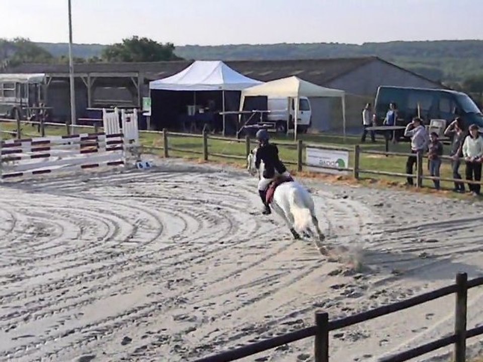 D1P  ; Dampleux 22.05.2011