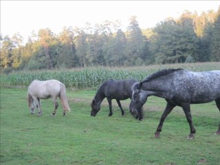 Changement de lieu, nouvelle vie pour tous!