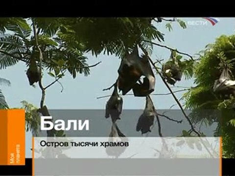 Колумбия- сердце Латинской Америки.