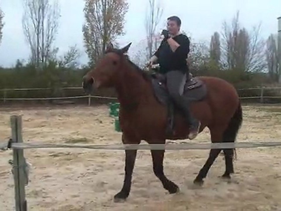 28.10.2011.i.cordelette