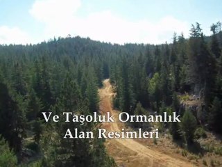 Gülnar Taşoluk Köyü ve Çevresinden resimler