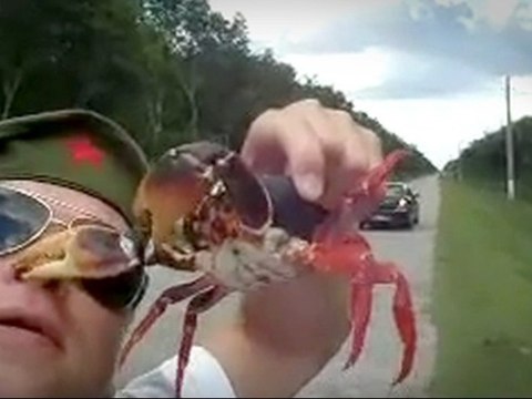 La pire douleur au monde...