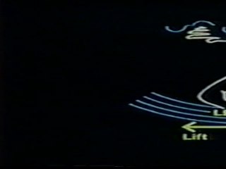 2.BIOMECHANICS