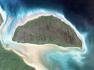 Les îles menacées par des espèces invasives.mp4