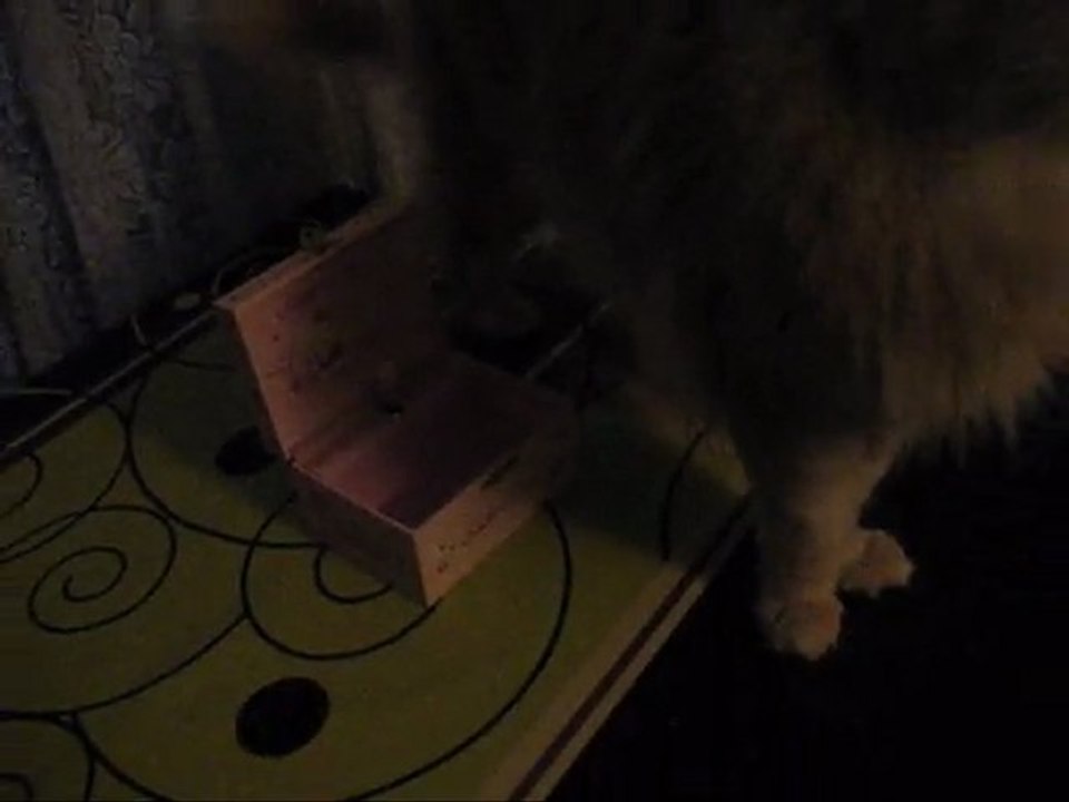 Bibi et la boite a musique Hello Kitty