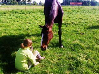 Adieu cheval de ma Vie .. ♥