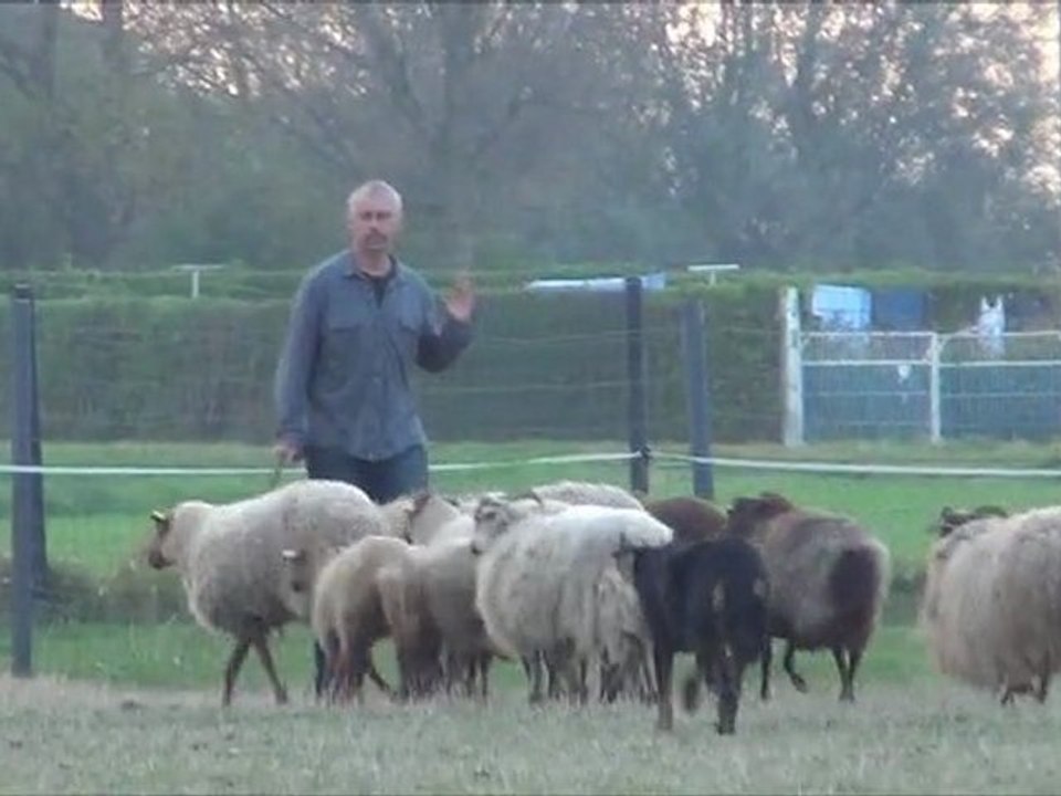 Empreinte le 28-10-2011