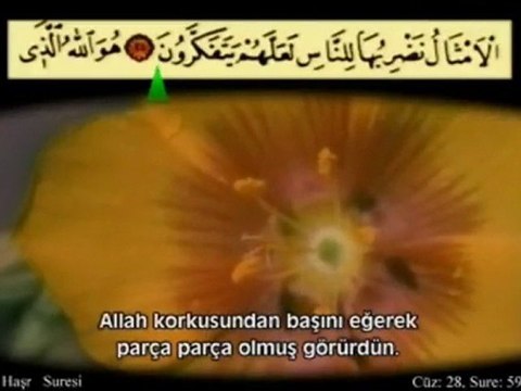 HAŞR SURESİ SON AYETLER