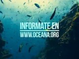 Amaro Gómez-Pablos llama a proteger los Ecosistemas Marinos Vulnerables