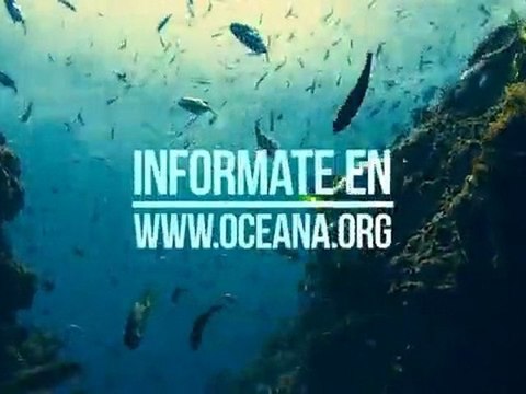 Amaro Gómez-Pablos llama a proteger los Ecosistemas Marinos Vulnerables