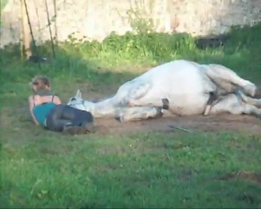 iloon septembre + en vrac  2011