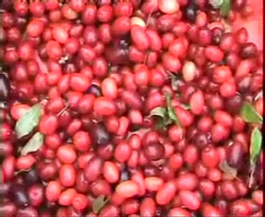 SİNOP TÜRKELİ ÇATAK KÖYLERİ 2006 BELGESELİ