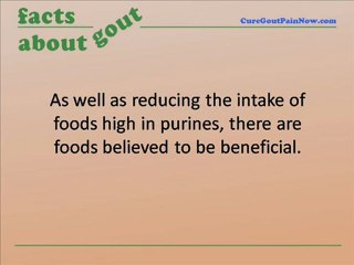Know What Gout Foods To Avoid