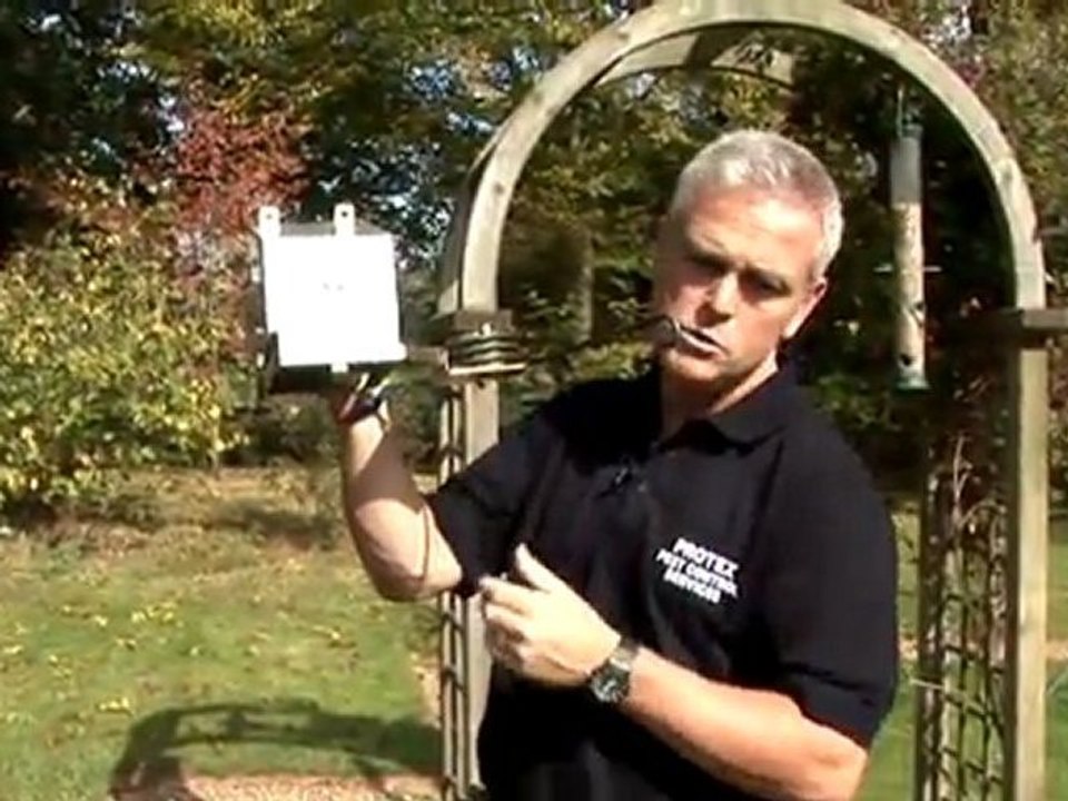 How To Kill Squirrels