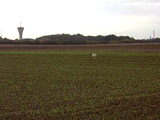 CLIP0023