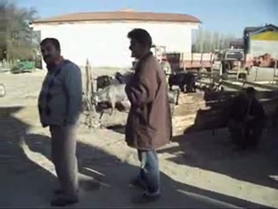 GÖLPAZARI KURBAN BAYRAMI ARİFESİ