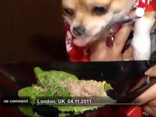 No need for a doggy bag for these mucky pups! - no comment
