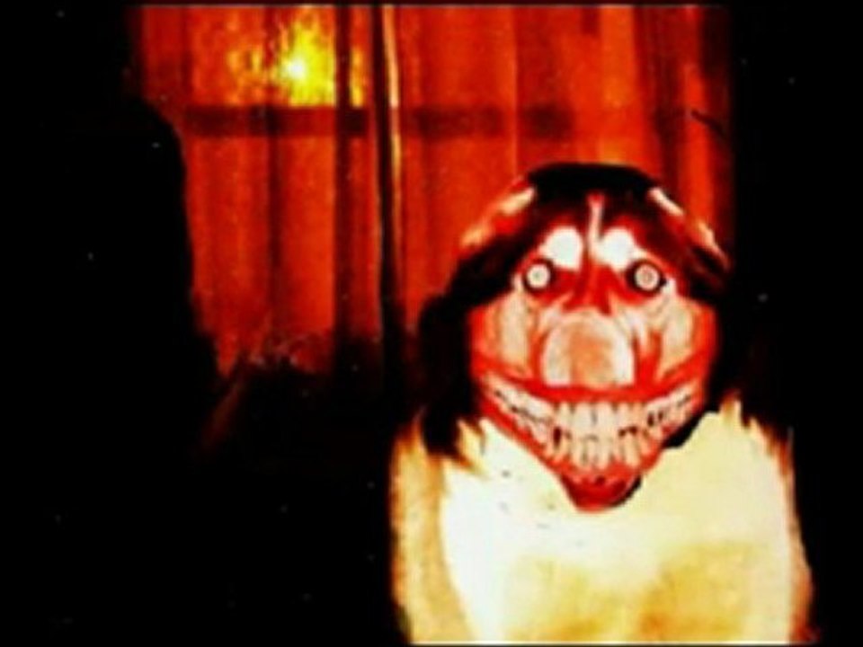 Smile.Dog