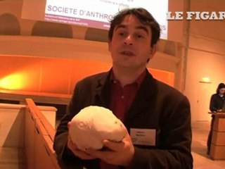 Le cerveau humain a rétréci